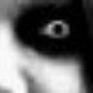 Meet your Posher, Jace